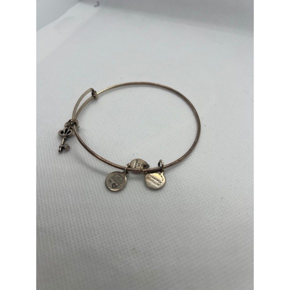 Alex and Ani Charm Bracelet Bangle Key to My Heart Expandable Rose Gold - Picture 3 of 3